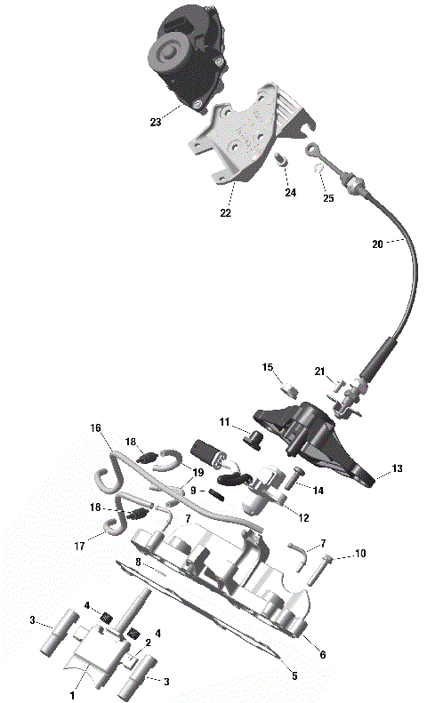 01- ROTAX - Rave