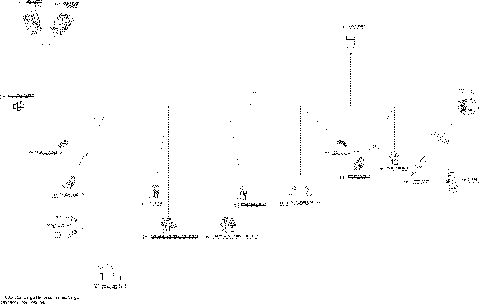 10- Electrical Harness Cargo_28Y1501c