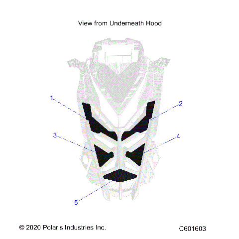 BODY, HOOD FOAM/SEAL - S21TDV8RS/8RE ALL OPTIONS (C601603)