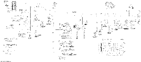 10- Main Harness Except Europe