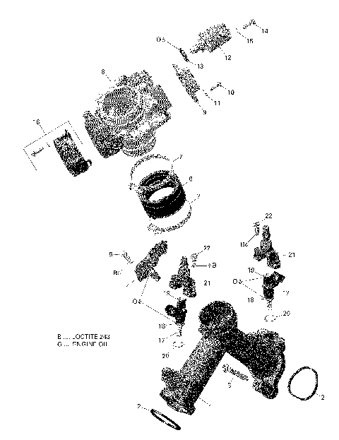01- Rotax - Air Intake Manifold And Throttle Body Version 1