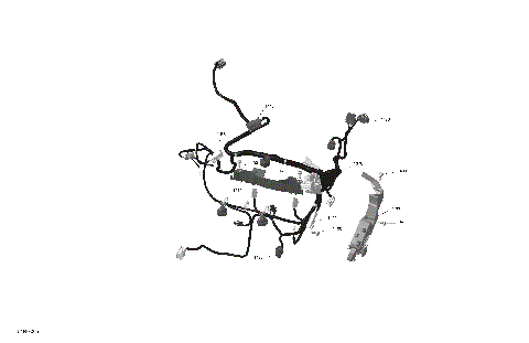 01- ROTAX - Engine Harness And Electronic Module