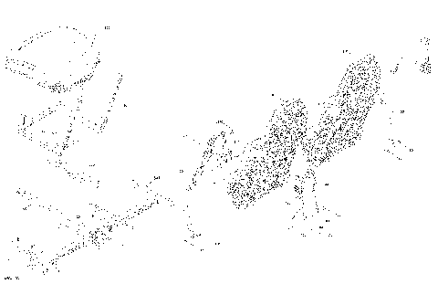 07- Body - Seat -  Front Section