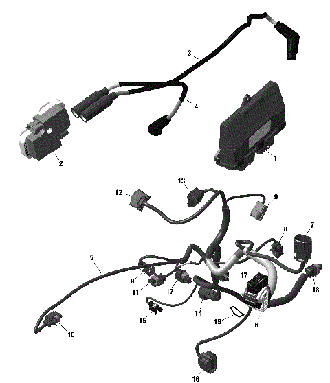 01- ROTAX - Engine Harness And Electronic Module