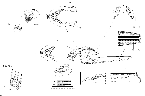 09- Decals 600HOETEC