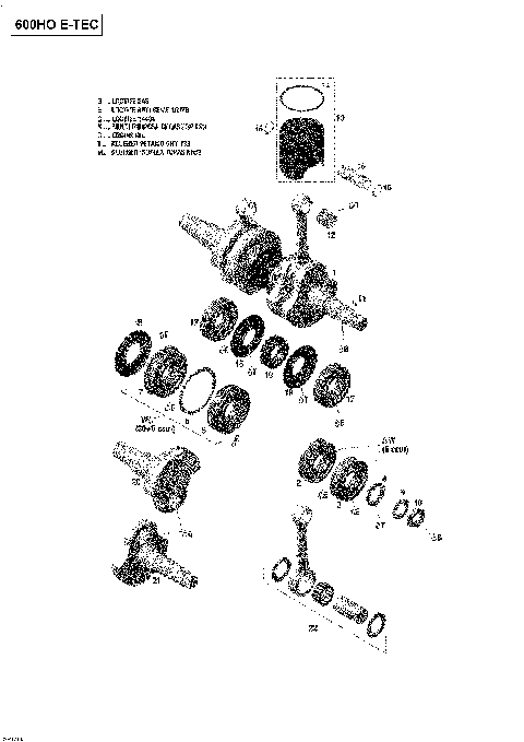 01- Crankshaft And Pistons - 600HO E-TEC