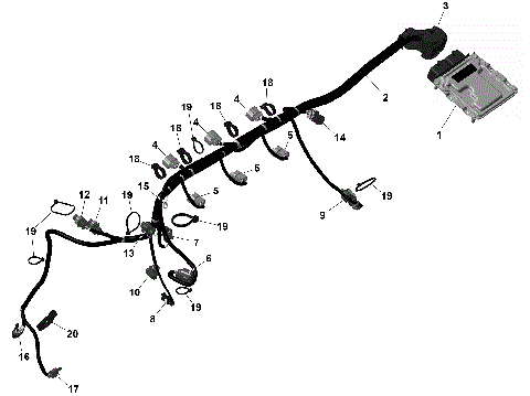01- ROTAX - Engine Harness And Electronic Module