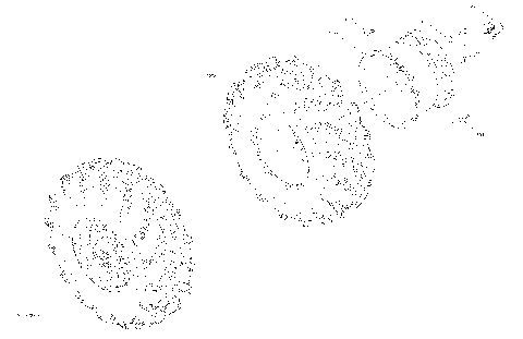 04- Drive - Front Section - Wheels - XU