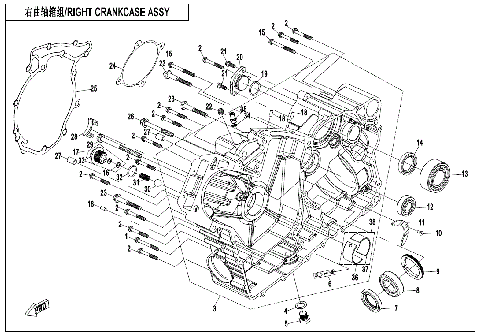 RIGHT CRANKCASE ASSY.