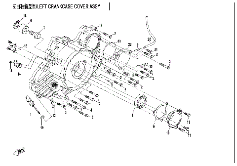 LEFT CRANKCASE COVER ASSY
