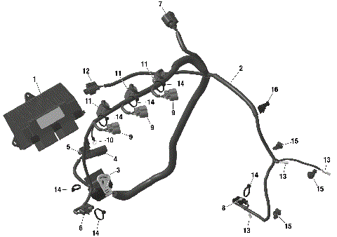 01- ROTAX - Engine Harness And Electronic Module