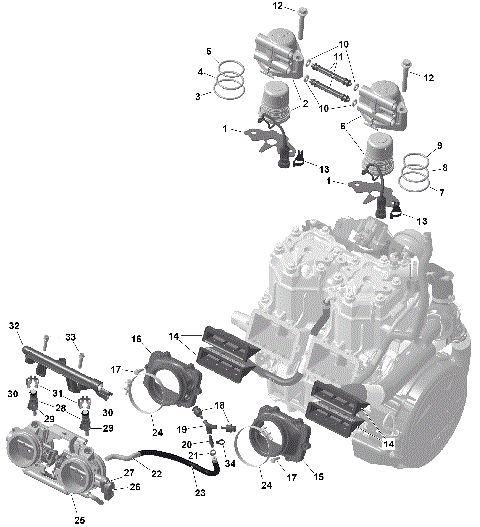 01- ROTAX - Electronic Fuel Injection
