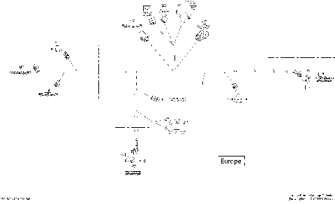 10- Electrical Harness, Frame Europe_28T1504b