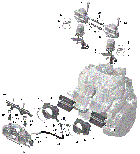 01- ROTAX - Electronic Fuel Injection