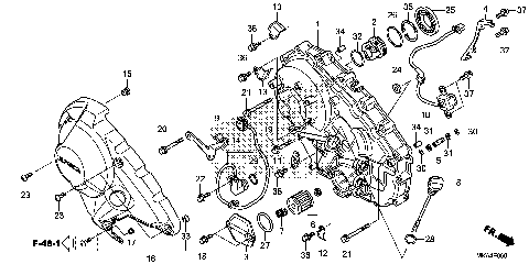 RIGHT CRANKCASE COVER
