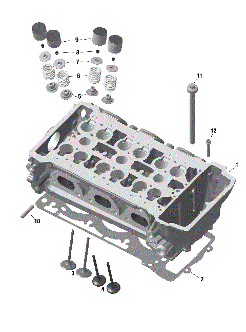 01- ROTAX - Cylinder Head