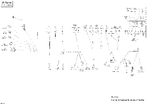 10- Electrical harness