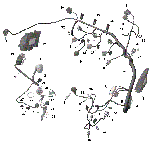 01- ROTAX - Engine Harness And Electronic Module