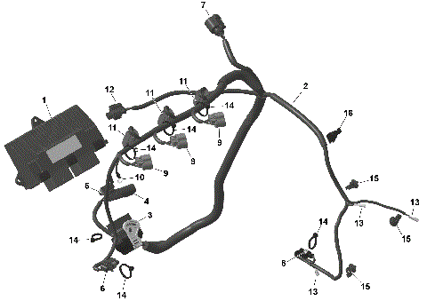 01- ROTAX - Engine Harness And Electronic Module