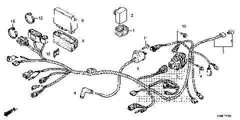 WIRE HARNESS (TRX250TE)