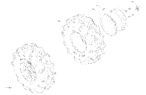 04- Drive - Rear Section - Wheels  - XMR