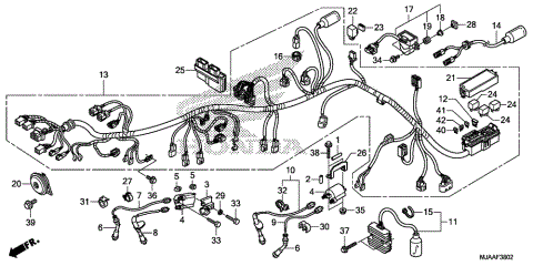 WIRE HARNESS (3)