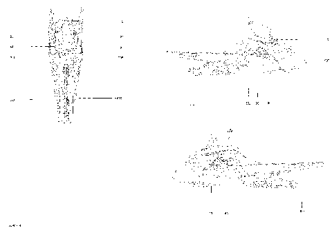 09- Decals - All Models