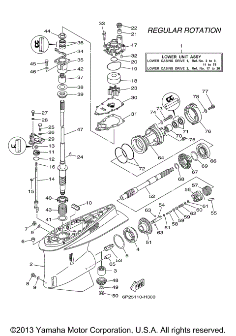 LOWER CASING DRIVE 1
