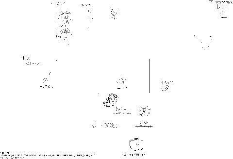 10- Electrical Harness - Main Harness - 278003275 (Refer to Electrical System for Model)