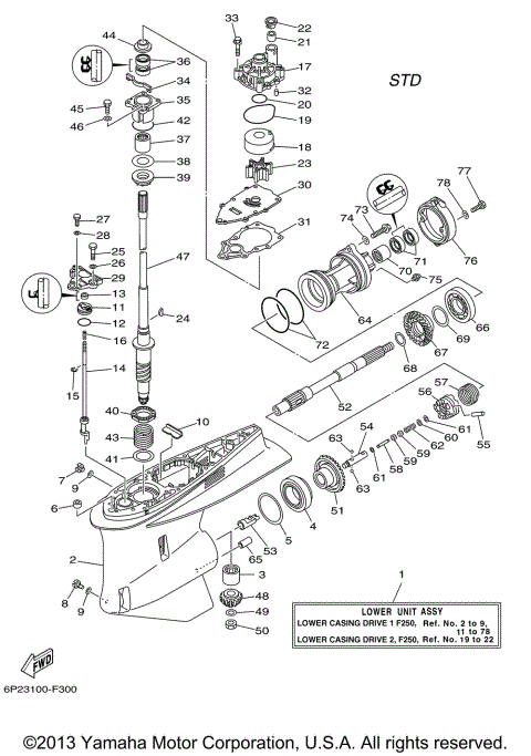 LOWER CASING DRIVE 1 F250