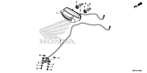 TAILLIGHT@LICENSE LIGHT