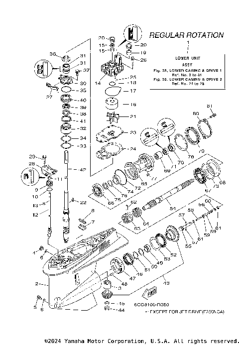 LOWER CASING DRIVE 1