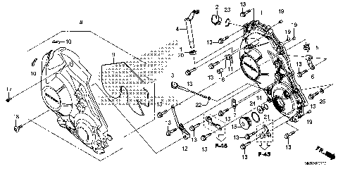 RIGHT CRANKCASE COVER