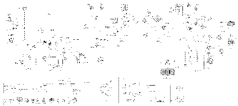 10- Main Harness - 710006239