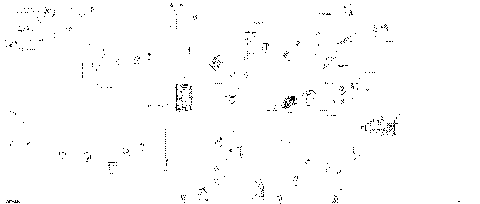 08- Electric - Main Harness - 710007539