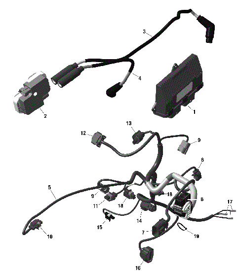 01- ROTAX - Engine Harness And Electronic Module