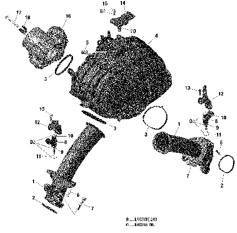 02- Air Intake Manifold And Throttle Body -  1010R