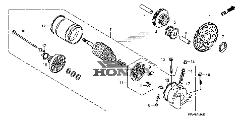 STARTING MOTOR (1)