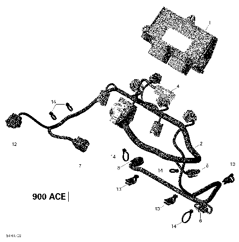 10- Engine Harness and Electronic Module - 900 ACE (51R1803a)