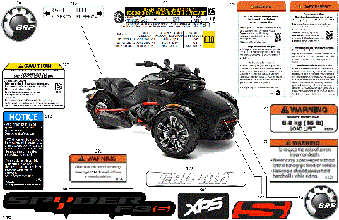 07- Body - Decals