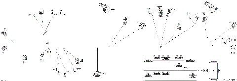 08- Electric - Main Harness - 710004898
