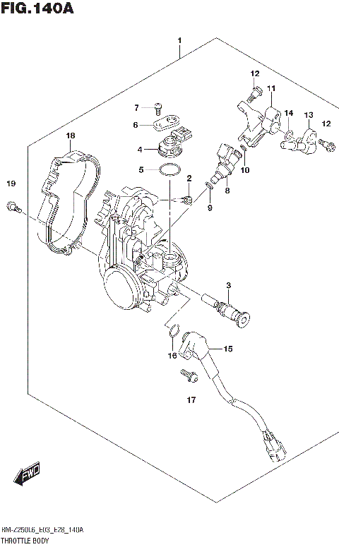 THROTTLE BODY