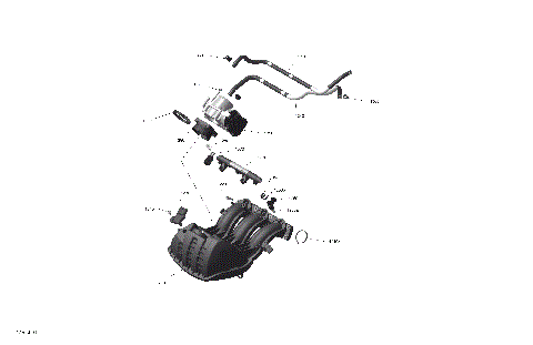 01- ROTAX - Air Intake Manifold And Throttle Body