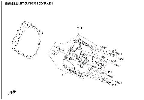 LEFT CRANKCASE COVER ASSY