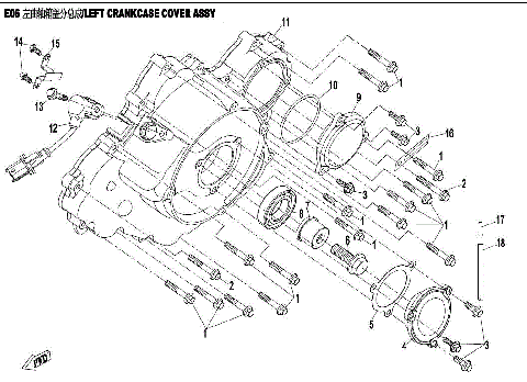 LEFT CRANKCASE COVER ASSY