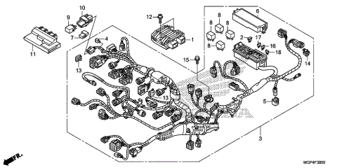 WIRE HARNESS             (1)