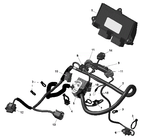 01- ROTAX - Engine Harness And Electronic Module