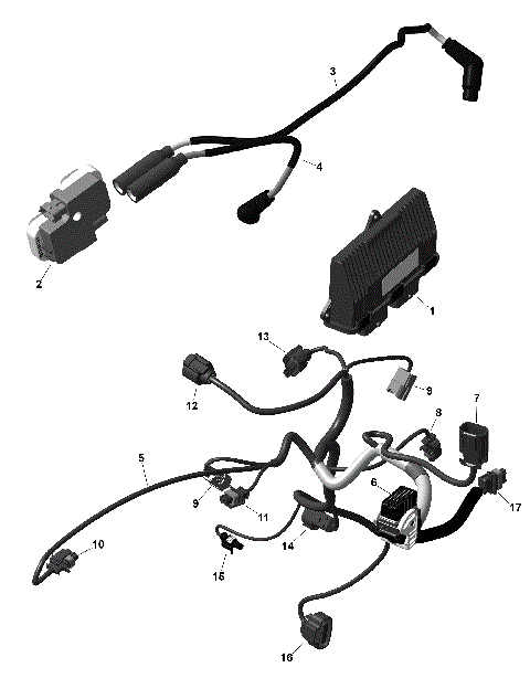 01- ROTAX - Engine Harness And Electronic Module