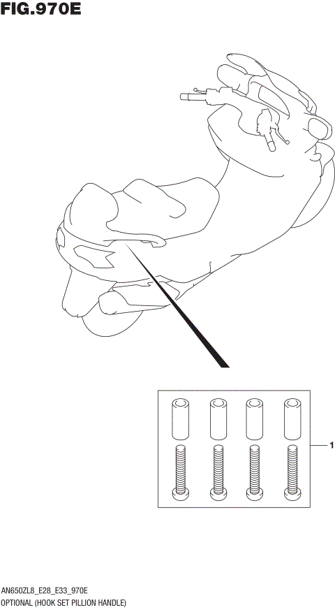 OPTIONAL (HOOK SET PILLION HANDLE)
