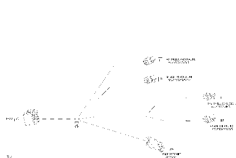 10- Electrical Harness Radio, LTD